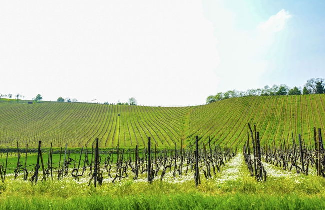 Belvilla by OYO Casa Reale Quattro - Foto 25