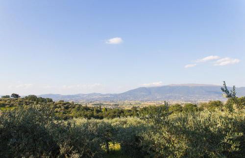 Agriturismo il Cicaleto - Foto 37