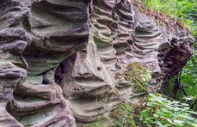 5 Person Holiday Home in Raa/helsingborg-by Traum - Photo 12