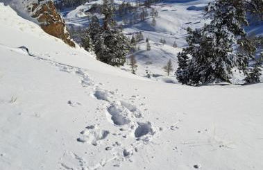 Isola 2000 appartement au pied des pistes wi-fi - Photo 27