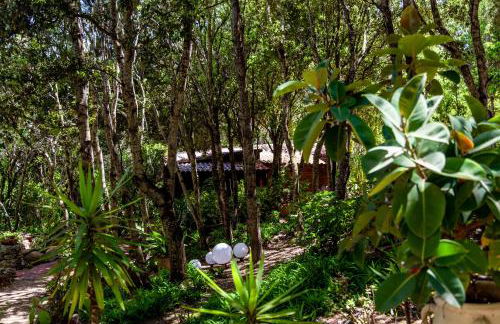 Casa Saltara - Foto 22