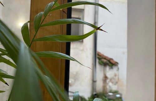 La Trastienda de Matilde - Foto 17