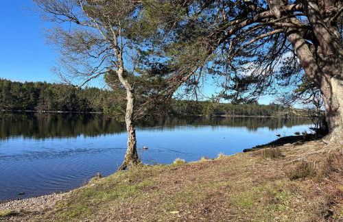 Migdale Heights - Luxury Cabins in The Highlands - Foto 14