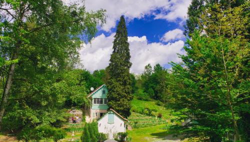 Casa "Dolina Kraljevac" - Foto 3, Garden view