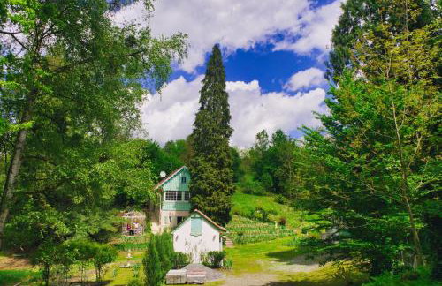 Casa "Dolina Kraljevac" - Foto 3