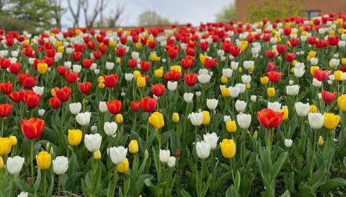 Bright and welcoming two-room modern apartment - Foto 5