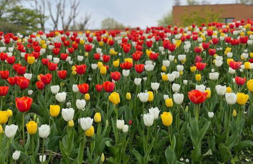 Bright and welcoming two-room modern apartment - Foto 5