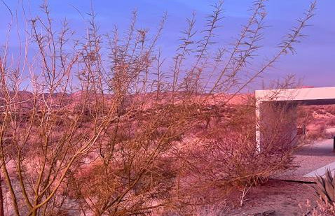 Poppy Ranch Pioneertown - Foto 8