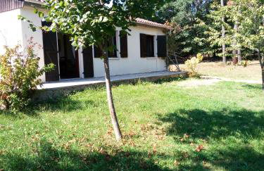 Les pruniers de la cipière - Foto 37