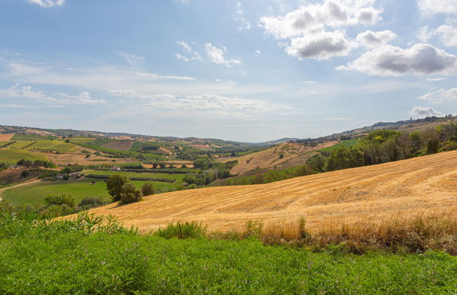 I Due Carpini - Foto 19