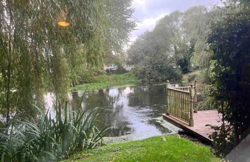 Riverside Studio - Foto 24