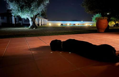 Casa das Oliveiras - Foto 1