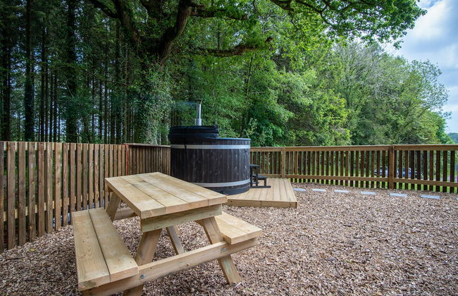 Cabin In The Woods - 1 Bed - Kilgetty - Foto 39