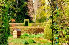 Côté Jardin la belle époque - Foto 20