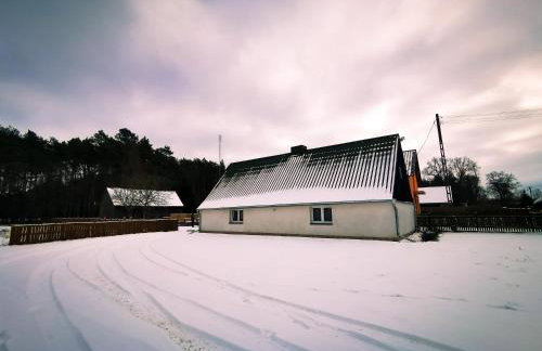 Zielona Chałupa - Foto 18