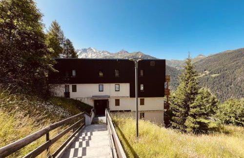 Location Studio 4 pers avec balcon à Plan Peisey - FR-1-757-105 - Foto 10