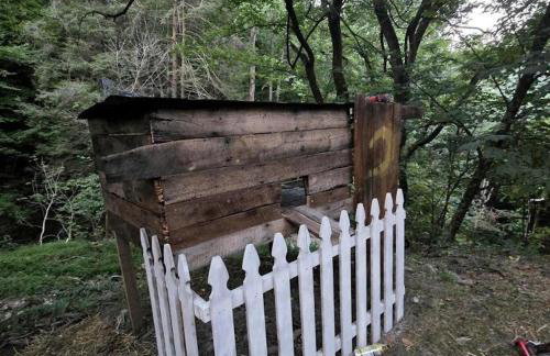 Remote Mountain A-Frame with BBQ Perfect for Nature Lovers in West Virginia - Foto 35