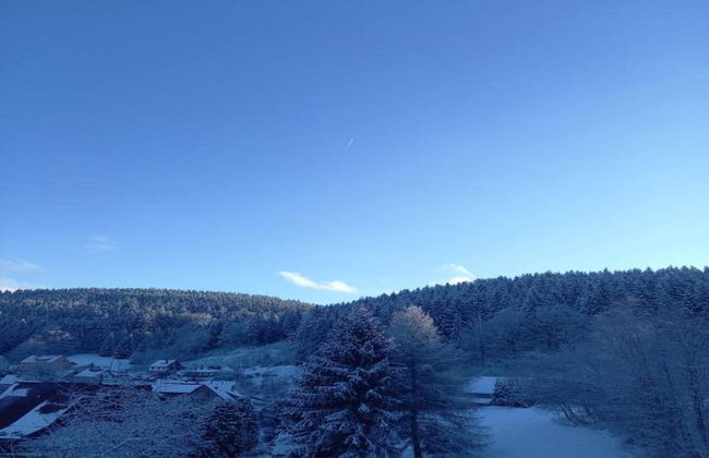 Apartment in Schnett Near the ski Area - Foto 19