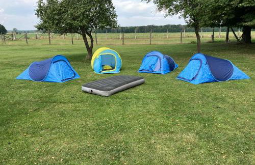 Gutshaus Pinnow - Foto 16