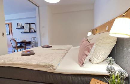 Gemütliches Studio Apartment in Kehl Goldscheuer - 1A Guesthouse - Foto 15