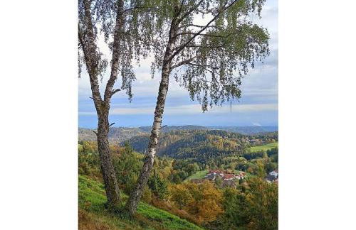 Country house on the Dachsberg - Foto 19