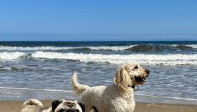 April Cottage - Photo 2