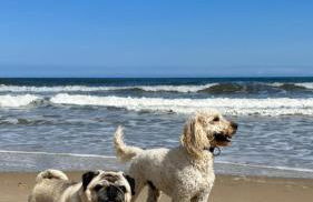 April Cottage - Foto 2