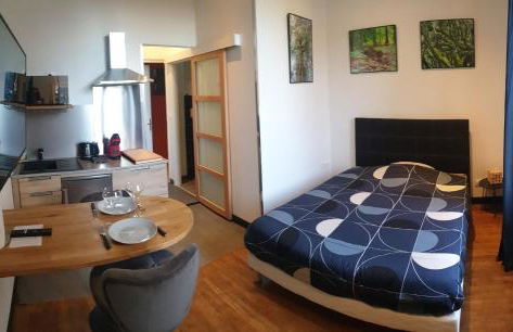 Le studio du Parc au cœur de Chaumont - Foto 1