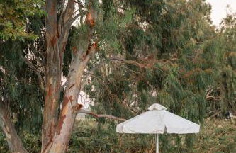 Naftilos Rosmarinus Apartments - Foto 31