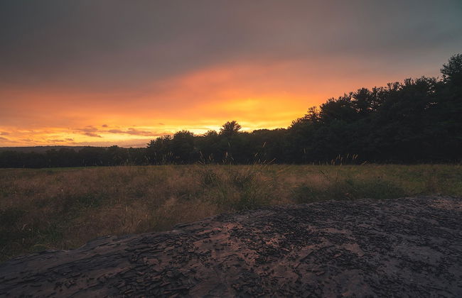 Gather Greene - Foto 16