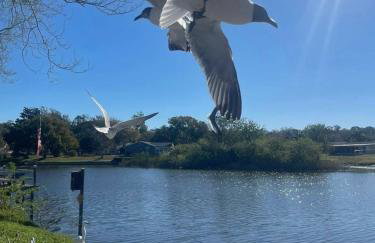 Private Tropical Waterfront Sanctuary w pool, hot tub & an island! Pet Friendly - Foto 6