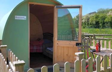 Green Dragon and Kitchen Pod - Sleeps 2 & Parking - Photo 8