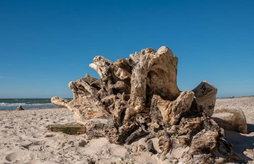 Apartament 11B Niebieskie Apartamenty z basenem krytym, odkrytym, salą zabaw, animacjami - Foto 33