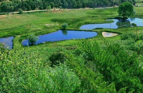 Our Little Patch of Heaven Cottage East Zion - Photo 14