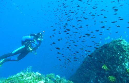 Tramuntana Holiday Home - Foto 40