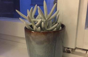 Ferienwohnung West - Photo 11