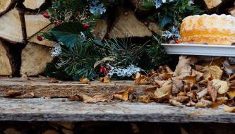 Flecksches Gut - Foto 3