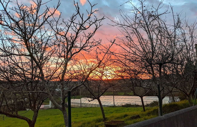 Casa Rural Bilbao Caserio Gondra - Foto 31