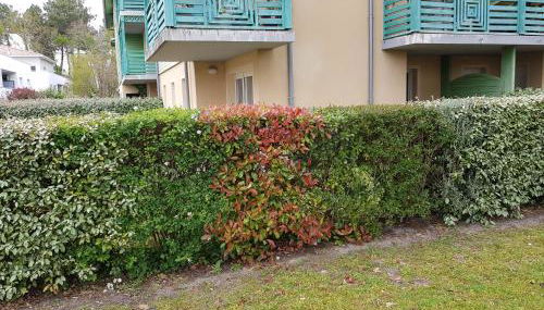 L'océan - Foto 2, Garden