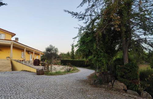 Quinta da Libelinha Alojamento Local - Mirandela - Foto 12