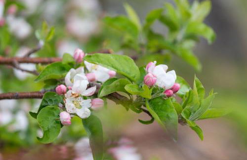 Obergostnerhof - Photo 20