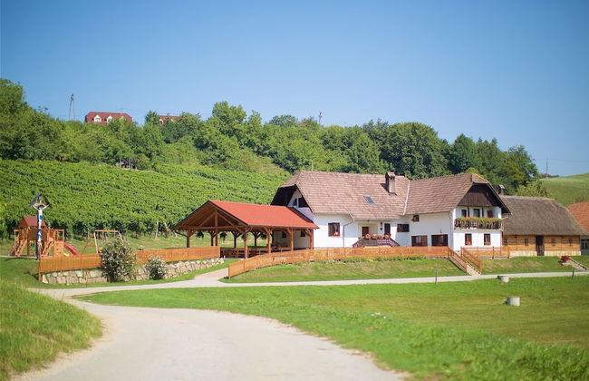 Tourist Farm Lovrec - Foto 58