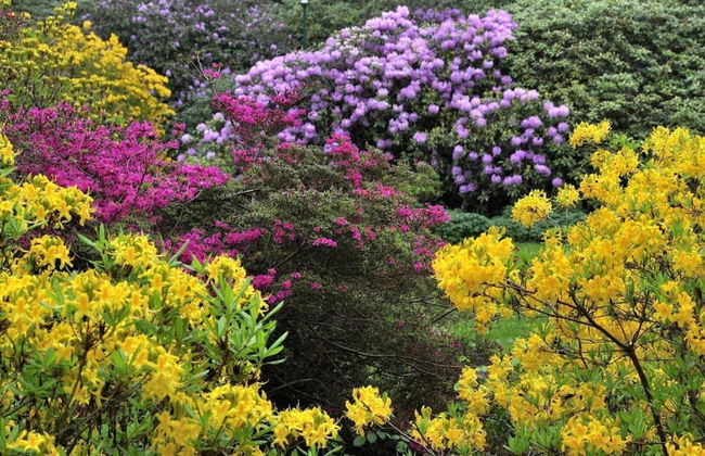 Beach Park 14/3n Comfortable Vacation Home - Foto 18