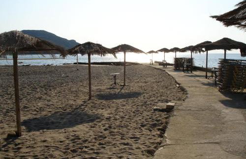 Ankypy Studios - Photo 38