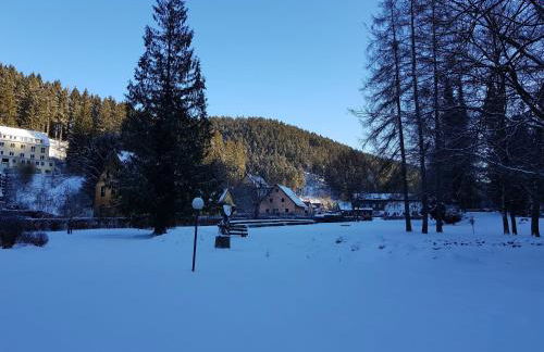 Spacious Apartment in Upper Harz near River - Foto 70