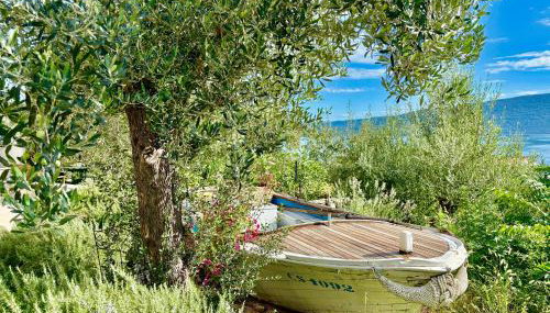 Apartmani Klaudija - Foto 3