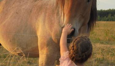 Landhaus Fischersruh Plauer See - Foto 4