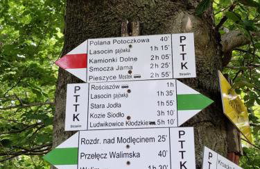 Nad Strumieniem - Foto 43