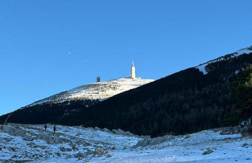 Bastidon La Garrigue - Foto 34