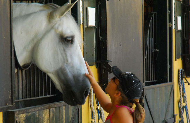 Yeguada de la Cartuja Stud Farm Tour - Foto 7